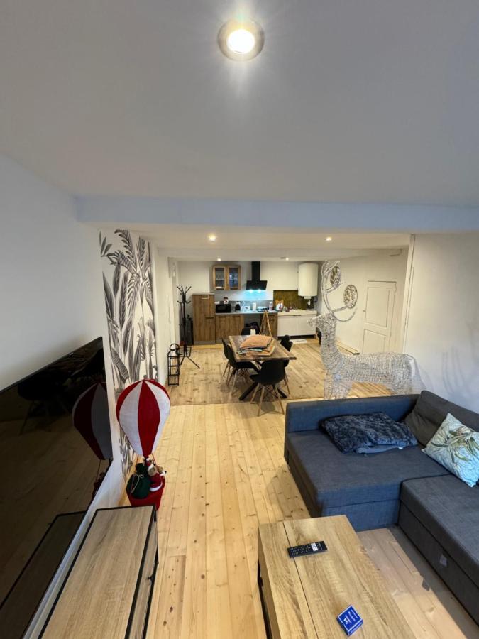 Charmant Grand Appartement Serdinya Exteriér fotografie